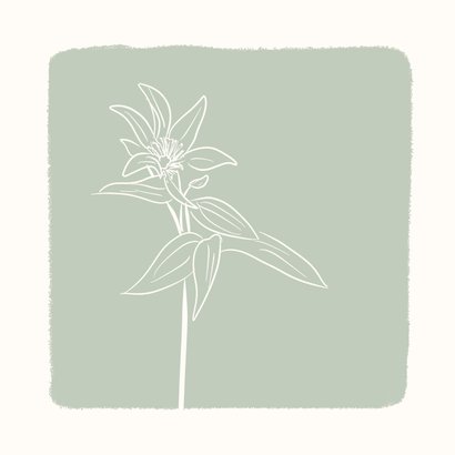 Condoleancekaart groen met lijntekening van bloem 2