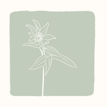 Condoleancekaart groen met lijntekening van bloem 2