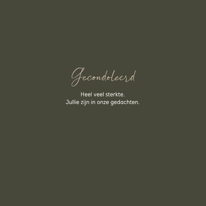 Condoleancekaart met berijpte hortensia's 3