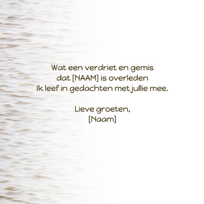 Condoleancekaart met vliegende eend op zee 3
