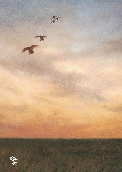 Condoleancekaart met vliegende eenden in de avondzon 2