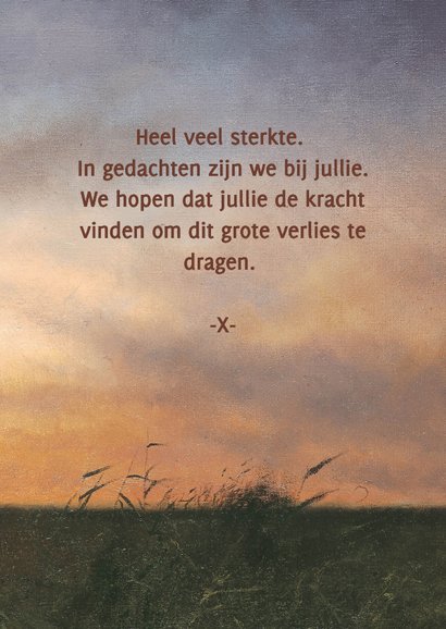 Condoleancekaart met vliegende eenden in de avondzon 3