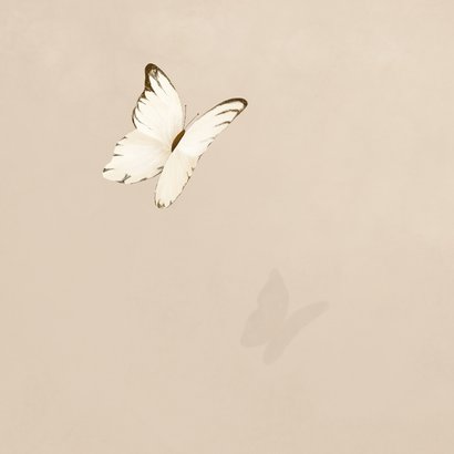 Condoleancekaart met wegvliegende vlinder 2