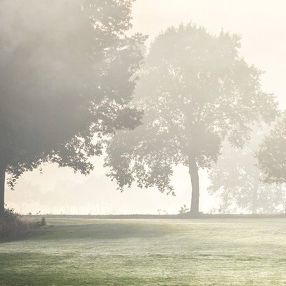 Condoleancekaart nevelig weidelandschap 2