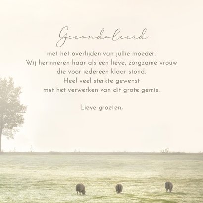 Condoleancekaart nevelig weidelandschap 3