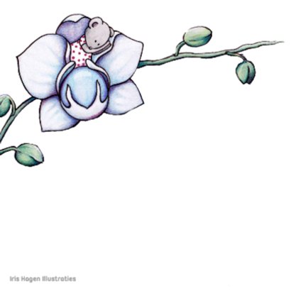 Condoleancekaart Orchidee - IH 2