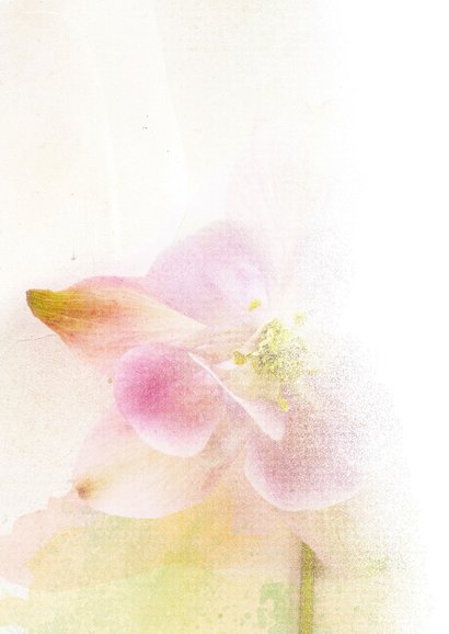 Condoleancekaart orchidee zacht pastel 2