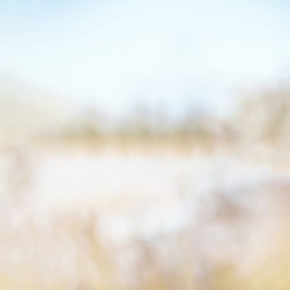 Condoleancekaart riethalm met neutrale achtergrond beige Achterkant