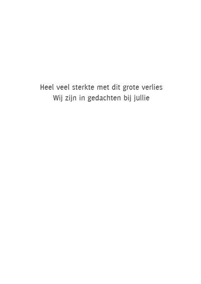 Condoleancekaart roze roos steun 3