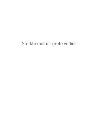 Condoleancekaart Roze Vlinder 3