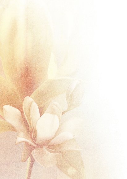 Condoleancekaart soft serenity bloem 2