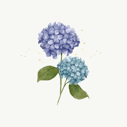 Condoleancekaart sterkte hortensia's blauw paars 2