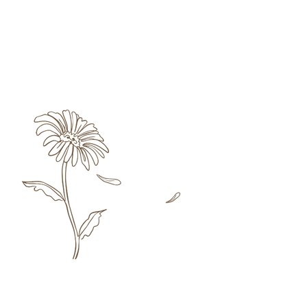 Condoleancekaart sterkte line art gerbera bloem neutraal 2