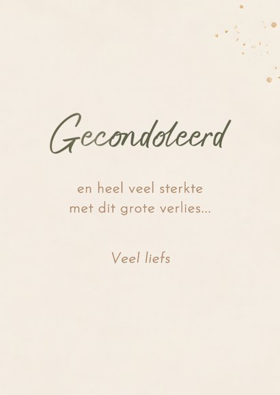 Condoleancekaart 'sterkte' met mooie eucalyptus tak 3