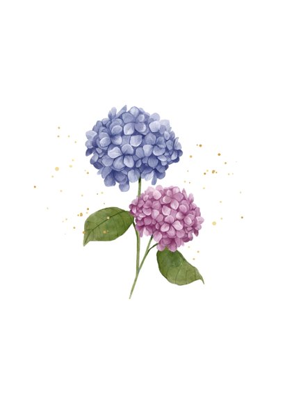 Condoleancekaart stijlvol bloemen hortensia paars blauw 2