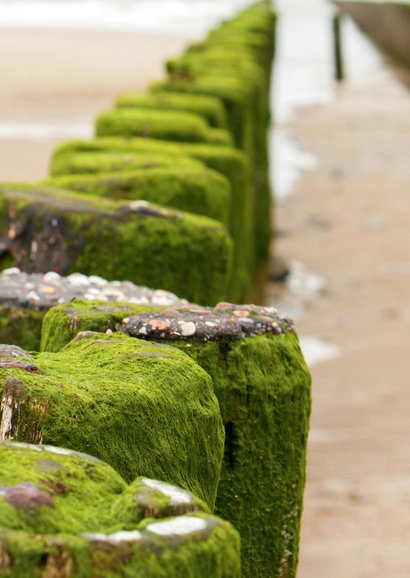 Condoleancekaart strandpaal 1 - OT 2