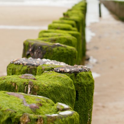 Condoleancekaart strandpaal aan zee 2