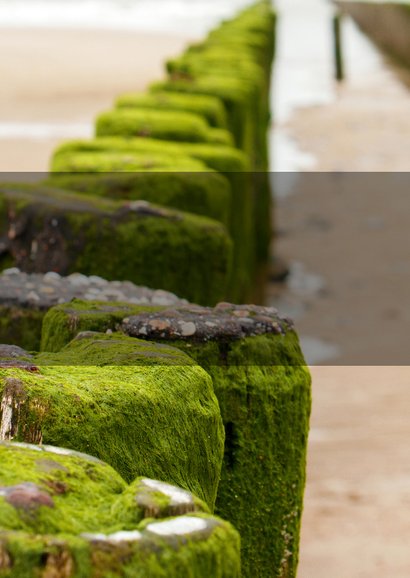 Condoleancekaart strandpalen aan zee 2