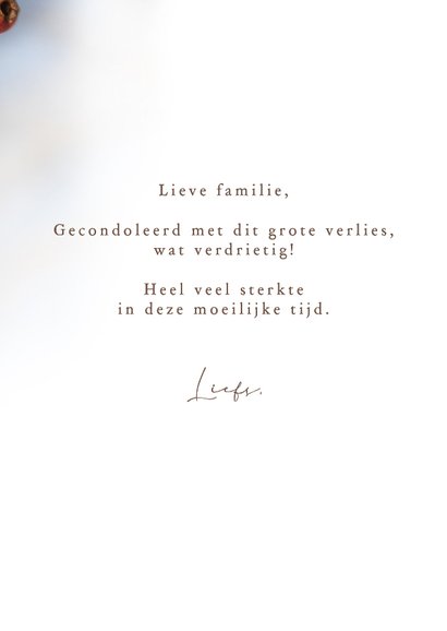 Condoleancekaart tak met rode besjes  3