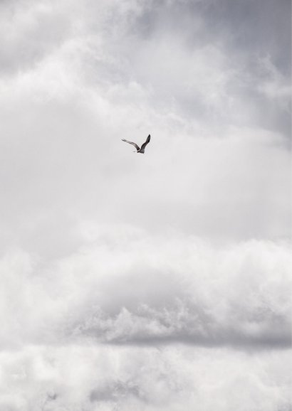 Condoleancekaart veel sterkte wolken vogel grijs 2