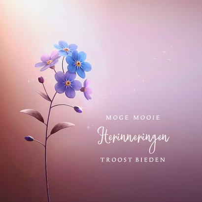 Condoleancekaart vergeet-mij-nietje in het licht symbolisch 2