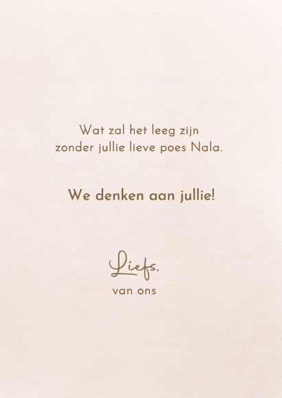 Condoleancekaart verlies kat met mooie bloemen en sterren 3