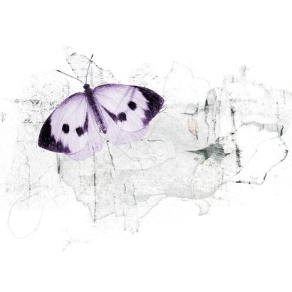 Condoleancekaart vlinder abstracte bergen 2