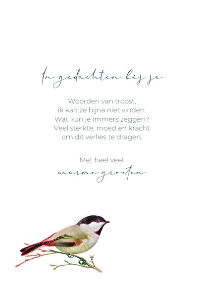 Condoleancekaart vogel kleurrijke wolken 3