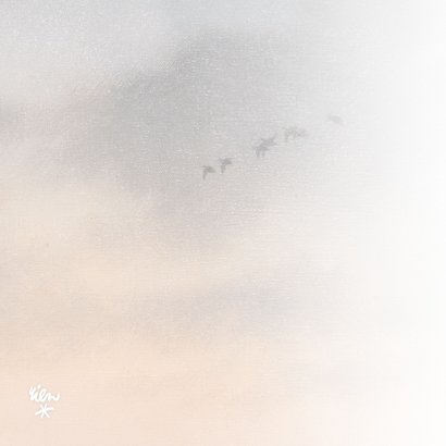 Condoleancekaart warmgrijze lucht met wegvliegende vogels 2