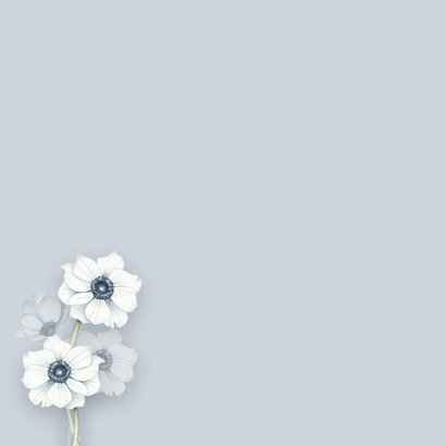 Condoleancekaart witte anemonen 2