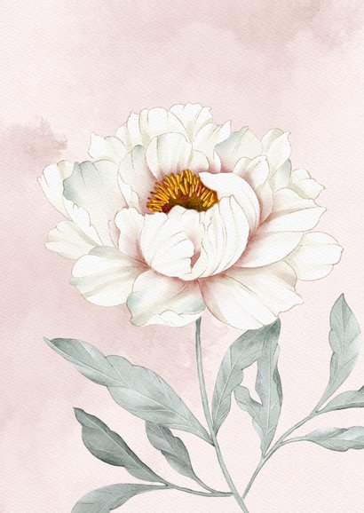 Condoleancekaart witte pioenroos 2