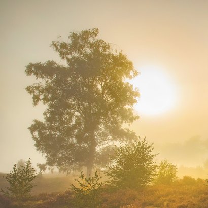 Condoleancekaart zonsopkomst heide 2