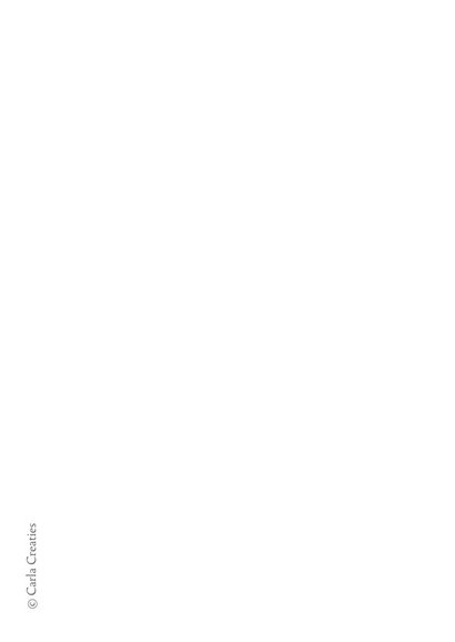 Condoleancekaarten Cavia 2