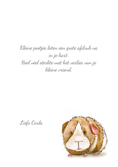 Condoleancekaarten klein huisdier 3