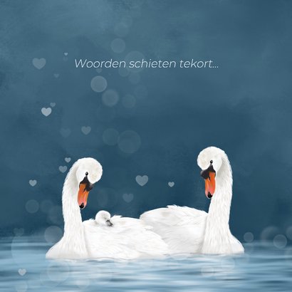 Condoleancekaarten stilgeboren zwanen met pul 2