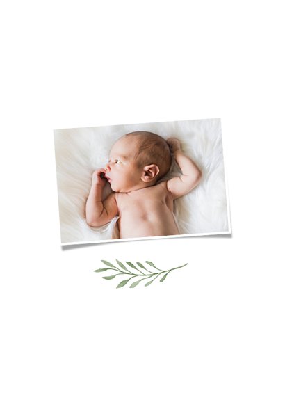Danksagung zur Geburt große & kleine Giraffe Foto innen 2