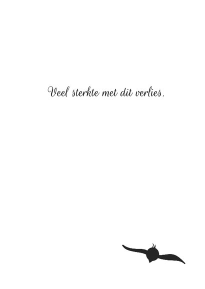 De laatste vlucht 3