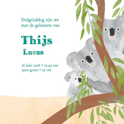Dieren geboortekaartje kangoeroe 3