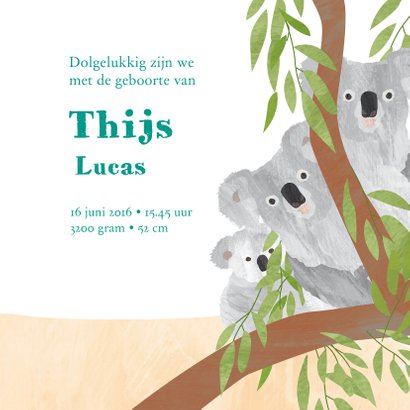 Dieren geboortekaartje kangoeroe 3
