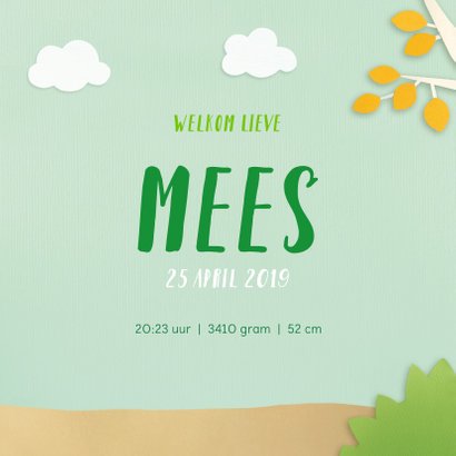 Dieren in het bos met vosje geboortekaartje 3