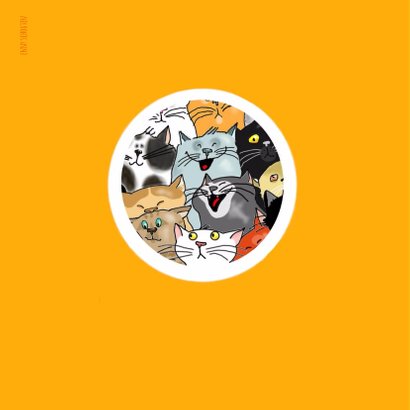 Dieren- katteneenheleboel 2