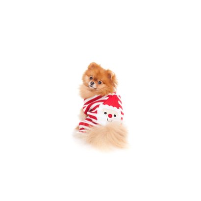 Dieren Kerstkaart - Pomeranian kerstman 2