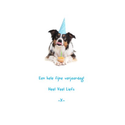 Dieren Verjaardagskaart - Hap-py Birthday 3