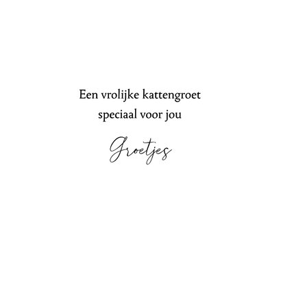 Dierenkaart - Bohemian katten 3