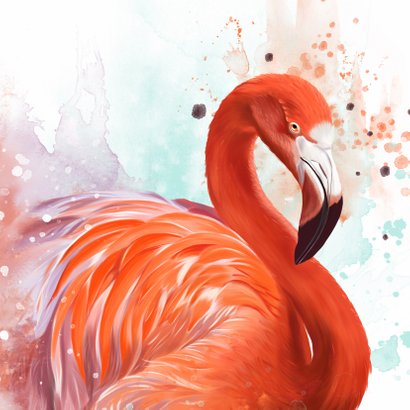 Dierenkaart flamingo waterverf 2