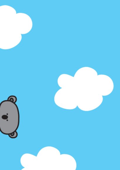Dierenkaart Koala 2