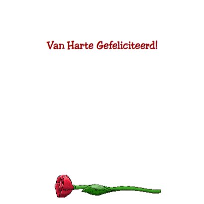 Dierenkaart leuke kat met bloemen en kaartje 3