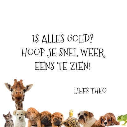 Dierenkaart met allemaal verschillende dieren 3