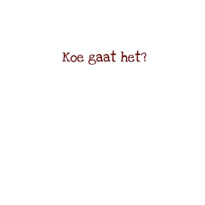 Dierenkaart nieuwsgierige koe 3