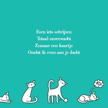 Dierenkaart Poesjes 3